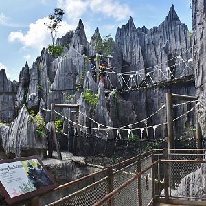 Rainforest Wild Asia - The Karsts