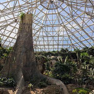 Inside Primate World