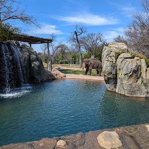 Asian elephant exhibit