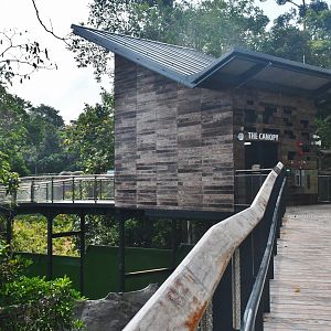 Rainforest Wild Asia - The Canopy