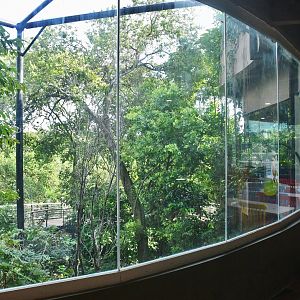 Rainforest Wild Asia - Sentinel Foodhall