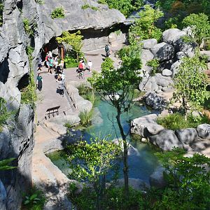 Rainforest Wild Asia - Entrance Gorge