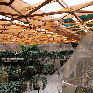 Orientarium - Jungle Hall - Genera view