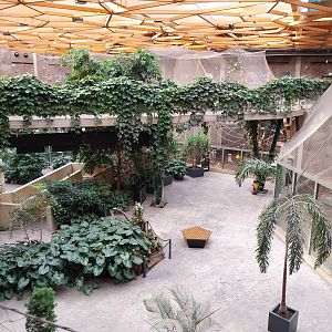 Orientarium - Jungle Hall - General view