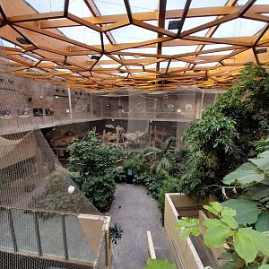 Orientarium - Jungle Hall - General view