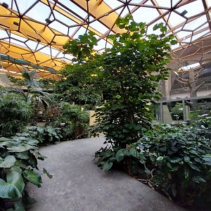Orientarium - Jungle Hall - General view