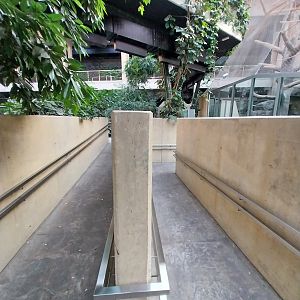 Orientarium - Jungle Hall - General view