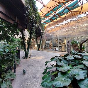 Orientarium - Jungle Hall - General view