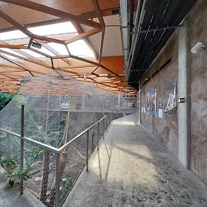 Orientarium - Jungle Hall - General view