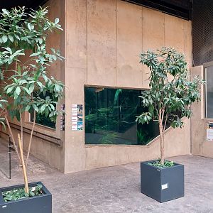 Orientarium - Jungle Hall - Southeast Asian Rivers