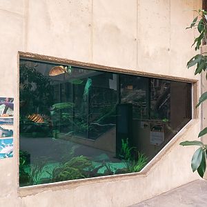 Orientarium - Jungle Hall - Southeast Asian Rivers