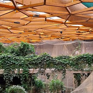 Orientarium - Jungle Hall - Elevated walkway