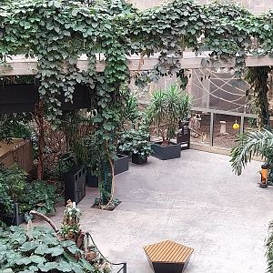Orientarium - Jungle Hall - General view