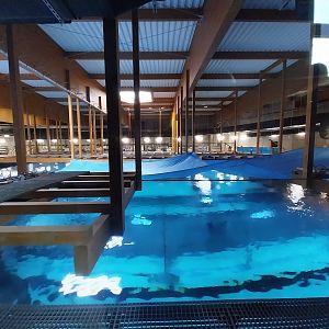 Orientarium - Aquarium