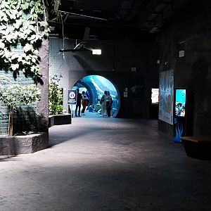 Orientarium - Aquarium