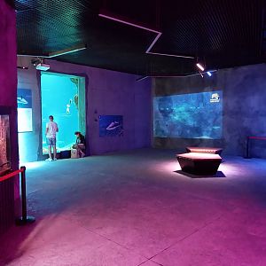 Orientarium - Aquarium - First room