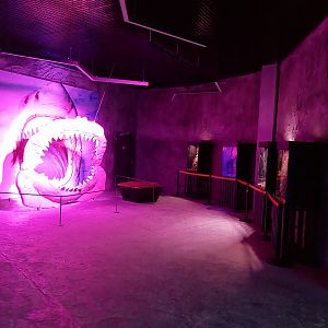 Orientarium - Aquarium - First room