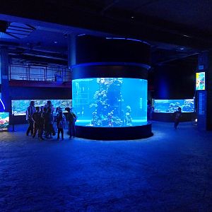 Orientarium - Aquarium - Main room - Cilinder tank