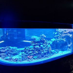 Orientarium - Aquarium - Main room
