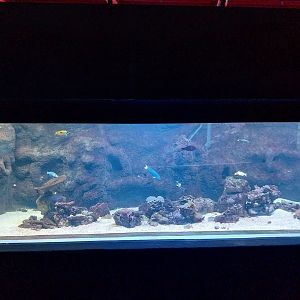 Orientarium - Aquarium - Main room