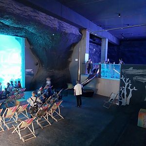 Orientarium - Aquarium - Main tank