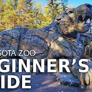The Minnesota Zoo's Beginner's Guide