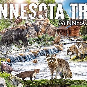 Minnesota Trail | Zoo Tours