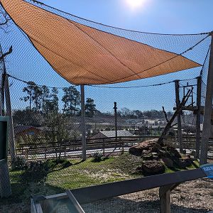 Flex exhibit for new Amazon area