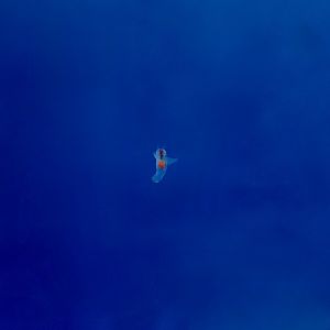 Sea Angel (Clione elegantissima) - Xpark