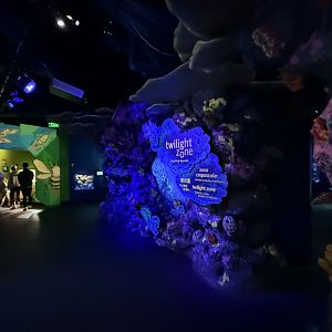 New twilight zone entrance