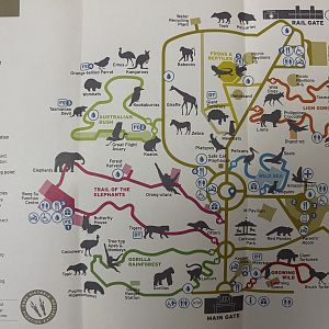 Zoo Map - Spring 2018