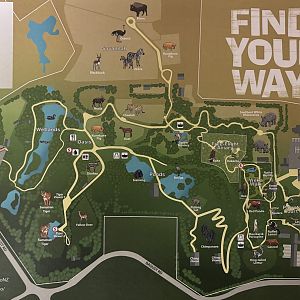 Zoo Map - 2024