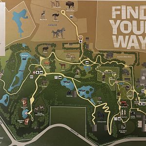Zoo Map - 2022