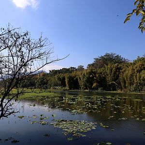 Xiang’e Lake, Yingjiang