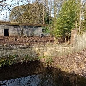 Visayan warty pig enclosure