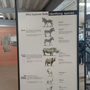 Sign in Wild Explorers