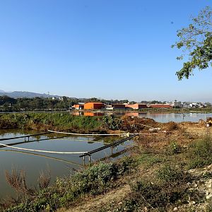 River Tern Site, Yingjiang