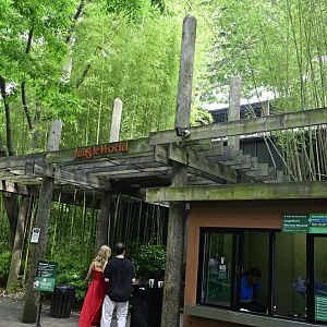 JungleWorld - Exterior