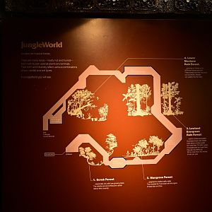 JungleWorld - Interior Map