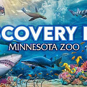 Discovery Bay Aquarium | Zoo Tours