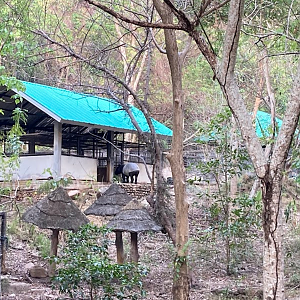 Malyan tapir breeding centre