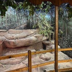 Brush Tailed Bettong Exhibit Illuminated