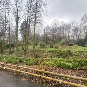 Sumatran tiger enclosure 140225