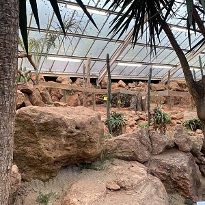 Crested porcupine enclosure 140225