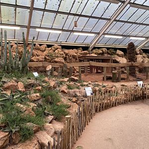 Crested porcupine enclosure 140225