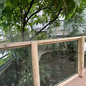 Crocodile Swamp - Cuban crocodile exhibit 140225