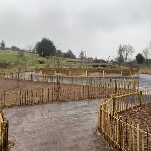 Proposed new Hamadryas baboon exhibit 150225