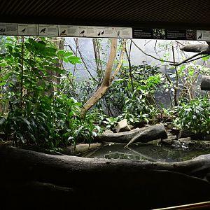 World of Birds - Asian Tropical Forest Exhibit