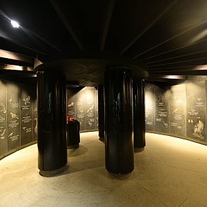 World of Birds - Extinction Room