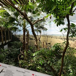 World of Birds - Woodlands Exhibit